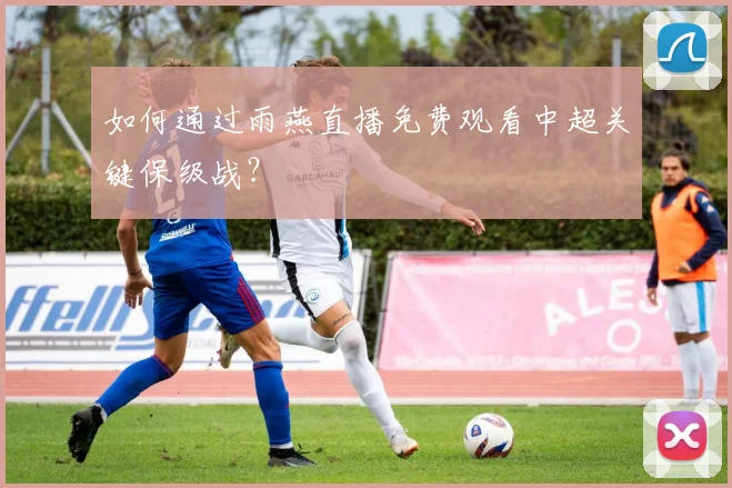 如何通过雨燕直播免费观看中超关键保级战？